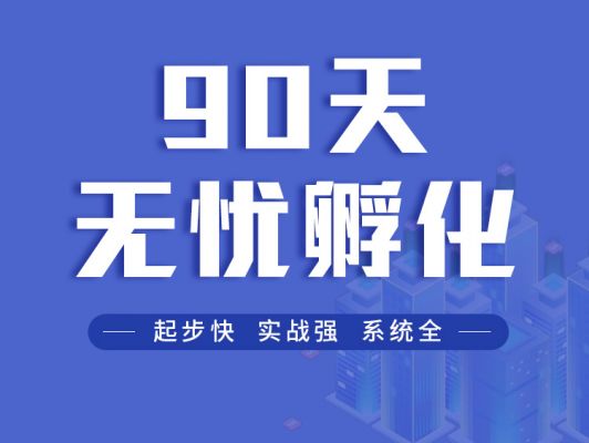 90天无忧孵化